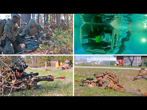 Marines Take Exercise to New Heights with Air Assault and Underwater Egress Training