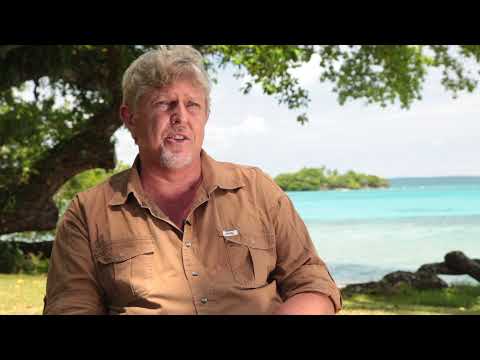 South Pacific WWII Museum - an introduction
