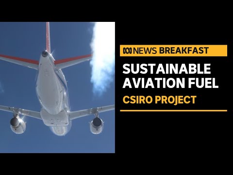 Sustainable aviation fuel could decarbonise the airline industry | ABC News