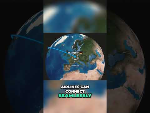 Discovering Star Alliance: The Sky&#039;s Ultimate Network