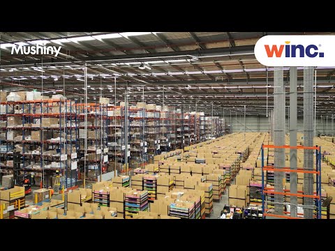 To welcome the peak sales season, Mushiny provides fast services to 100,000 B2B and B2C customers