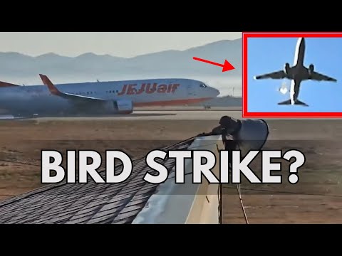 179 Lives Lost in Jeju Air Crash – The Shocking Truth Revealed!