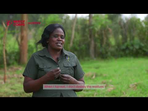Harvesting Hope: Transforming Communities with Sustainable Agriculture
