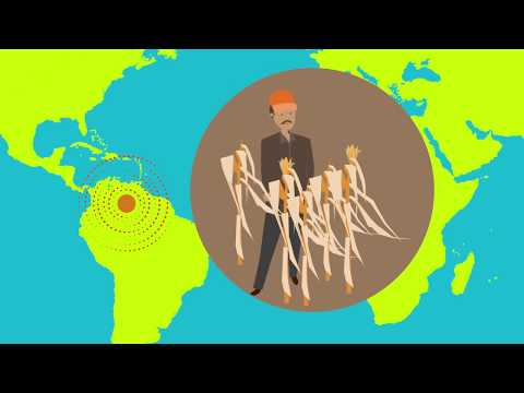 Risk Assessment of Mycotoxins - Stimulating research and data collection